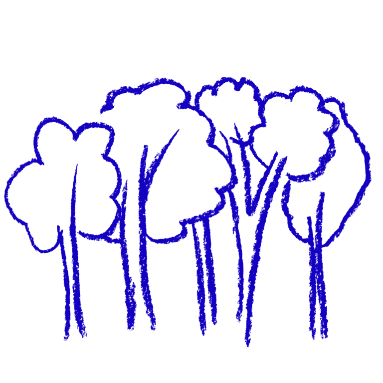 Illustration of a forest