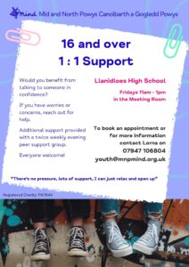 Youth Service Support at Llanidloes High