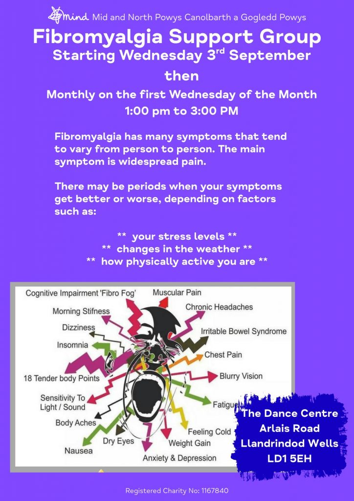 Fibromyalgia Support Group poster