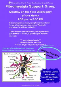 Fibromyalgia Group poster